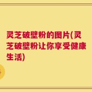 灵芝破壁粉的图片(灵芝破壁粉让你享受健康生活)