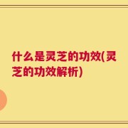 什么是灵芝的功效(灵芝的功效解析)