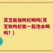灵芝能加枸杞喝吗(灵芝和枸杞能一起泡水喝吗？)