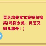 灵芝鸡美食文案短句搞笑(鸡你太美，灵芝又哪儿都开！)