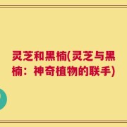 灵芝和黑楠(灵芝与黑楠：神奇植物的联手)