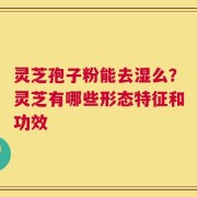 灵芝孢子粉能去湿么？灵芝有哪些形态特征和功效