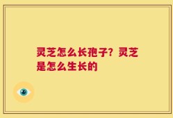 灵芝怎么长孢子？灵芝是怎么生长的