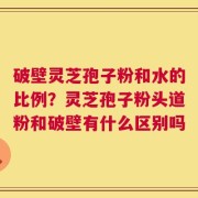 破壁灵芝孢子粉和水的比例？灵芝孢子粉头道粉和破壁有什么区别吗