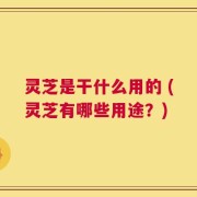 灵芝是干什么用的 (灵芝有哪些用途？)