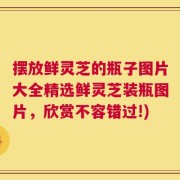 摆放鲜灵芝的瓶子图片大全精选鲜灵芝装瓶图片，欣赏不容错过!)