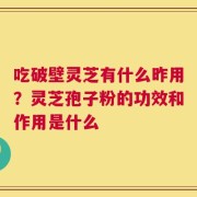 吃破壁灵芝有什么昨用？灵芝孢子粉的功效和作用是什么