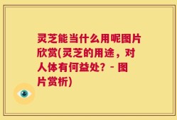 灵芝能当什么用呢图片欣赏(灵芝的用途，对人体有何益处？- 图片赏析)