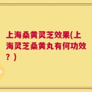 上海桑黄灵芝效果(上海灵芝桑黄丸有何功效？)