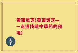 黄蒲灵芝(黄蒲灵芝——走进传统中草药的秘境)