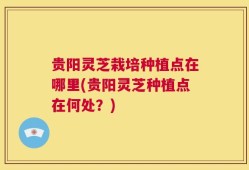 贵阳灵芝栽培种植点在哪里(贵阳灵芝种植点在何处？)