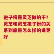 孢子粉是灵芝做的不？灵芝和灵芝孢子粉的关系到底是怎么样的谁更好