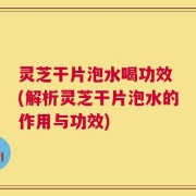 灵芝干片泡水喝功效 (解析灵芝干片泡水的作用与功效)