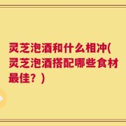 灵芝泡酒和什么相冲(灵芝泡酒搭配哪些食材最佳？)