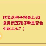 吃灵芝孢子粉会上火(食用灵芝孢子粉是否会引起上火？)