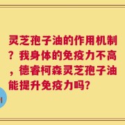 灵芝孢子油的作用机制？我身体的免疫力不高，德睿柯森灵芝孢子油能提升免疫力吗？