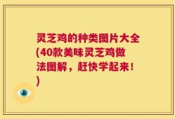 灵芝鸡的种类图片大全(40款美味灵芝鸡做法图解，赶快学起来！)