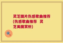 灵芝图片伤感歌曲推荐(伤感歌曲推荐  灵芝美图赏析)