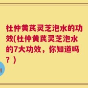 杜仲黄芪灵芝泡水的功效(杜仲黄芪灵芝泡水的7大功效，你知道吗？)