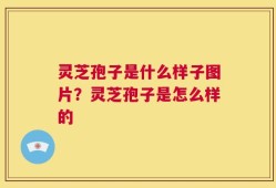 灵芝孢子是什么样子图片？灵芝孢子是怎么样的