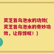灵芝首乌泡水的功效(灵芝首乌泡水的奇妙功效，让你惊叹！)