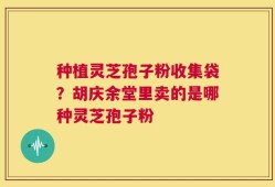 种植灵芝孢子粉收集袋？胡庆余堂里卖的是哪种灵芝孢子粉