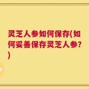 灵芝人参如何保存(如何妥善保存灵芝人参？)