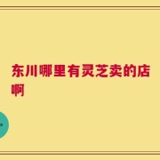 东川哪里有灵芝卖的店啊