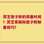 灵芝孢子粉的采集时间？灵芝采摘和孢子粉制备技巧？