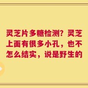 灵芝片多糖检测？灵芝上面有很多小孔，也不怎么结实，说是野生的