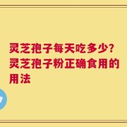 灵芝孢子每天吃多少？灵芝孢子粉正确食用的用法