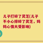 儿子打碎了灵芝(儿子不小心摔碎了灵芝，妈妈心情大受影响)