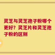 灵芝与灵芝孢子粉哪个更好？灵芝片和灵芝孢子粉的区别