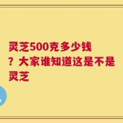 灵芝500克多少钱 ？大家谁知道这是不是灵芝