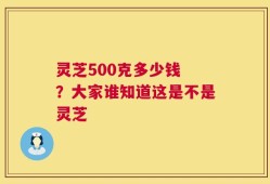 灵芝500克多少钱 ？大家谁知道这是不是灵芝