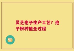 灵芝孢子生产工艺？孢子粉种植全过程