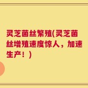 灵芝菌丝繁殖(灵芝菌丝增殖速度惊人，加速生产！)