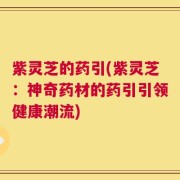 紫灵芝的药引(紫灵芝：神奇药材的药引引领健康潮流)