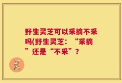 野生灵芝可以采摘不采吗(野生灵芝：“采摘”还是“不采”？