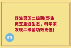 野生灵芝二级菌(野生灵芝重返生态，科学家发现二级菌功效更佳)