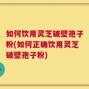 如何饮用灵芝破壁孢子粉(如何正确饮用灵芝破壁孢子粉)