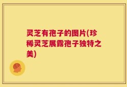 灵芝有孢子的图片(珍稀灵芝展露孢子独特之美)