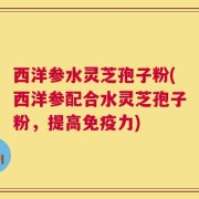 西洋参水灵芝孢子粉(西洋参配合水灵芝孢子粉，提高免疫力)