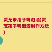 灵芝带孢子粉泡酒(灵芝孢子粉泡酒制作方法)