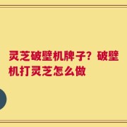 灵芝破壁机牌子？破壁机打灵芝怎么做