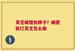 灵芝破壁机牌子？破壁机打灵芝怎么做
