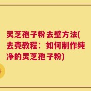 灵芝孢子粉去壁方法(去壳教程：如何制作纯净的灵芝孢子粉)