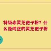 特级赤灵芝孢子粉？什么是纯正的灵芝孢子粉