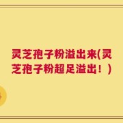 灵芝孢子粉溢出来(灵芝孢子粉超足溢出！)