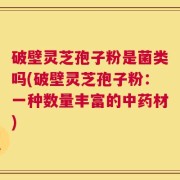 破壁灵芝孢子粉是菌类吗(破壁灵芝孢子粉：一种数量丰富的中药材)